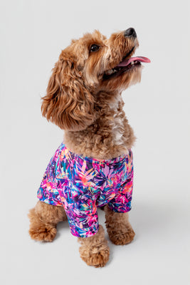 T-shirt LeloPET Alasie